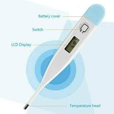 Thermometer Digital LCD