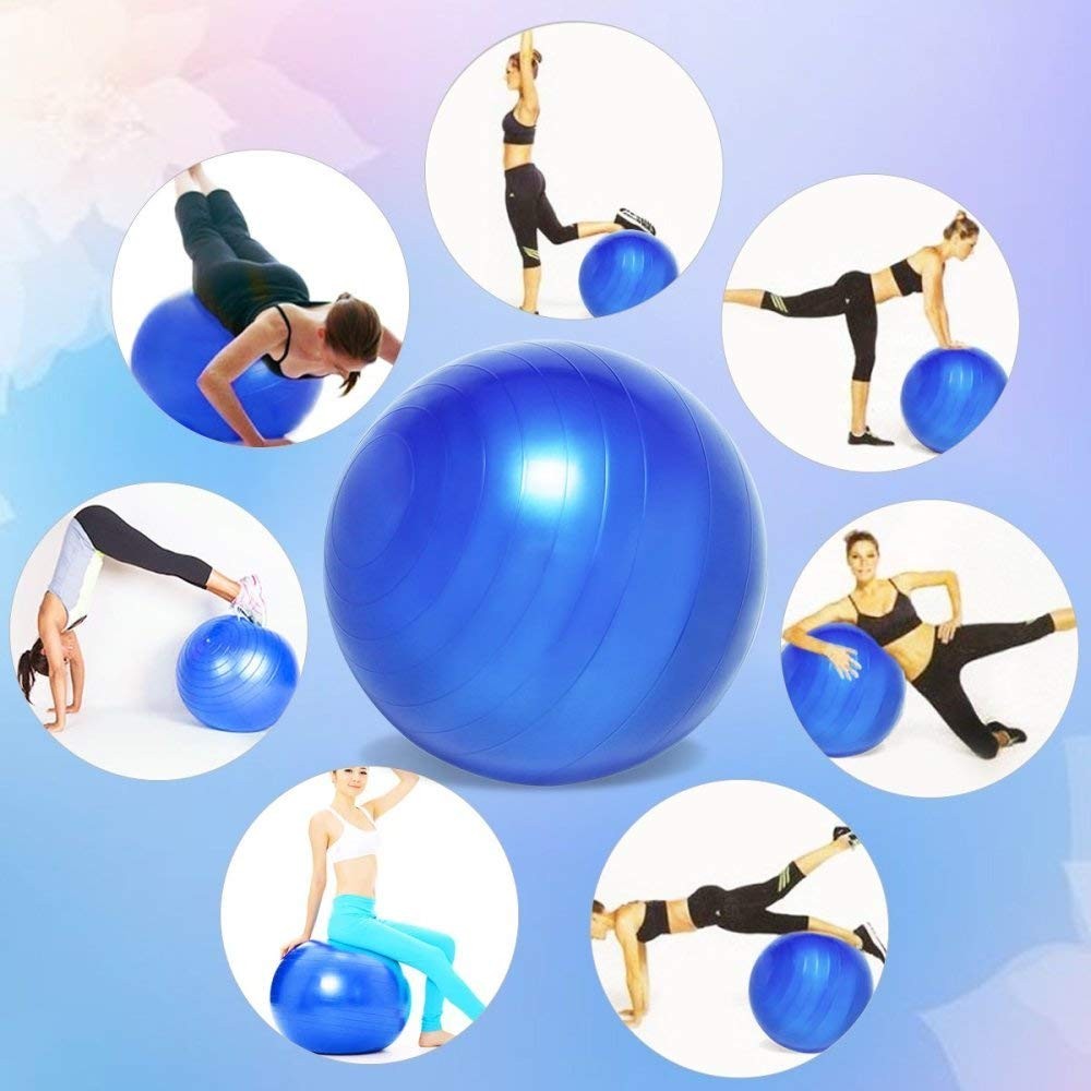 Gym Ball Fitness Exercise Stevility